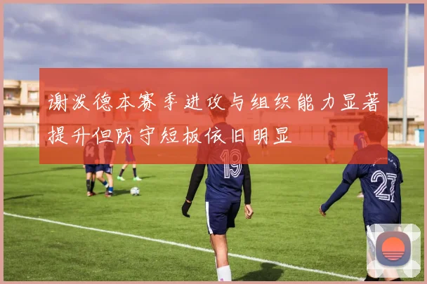 谢泼德本赛季进攻与组织能力显著提升但防守短板依旧明显